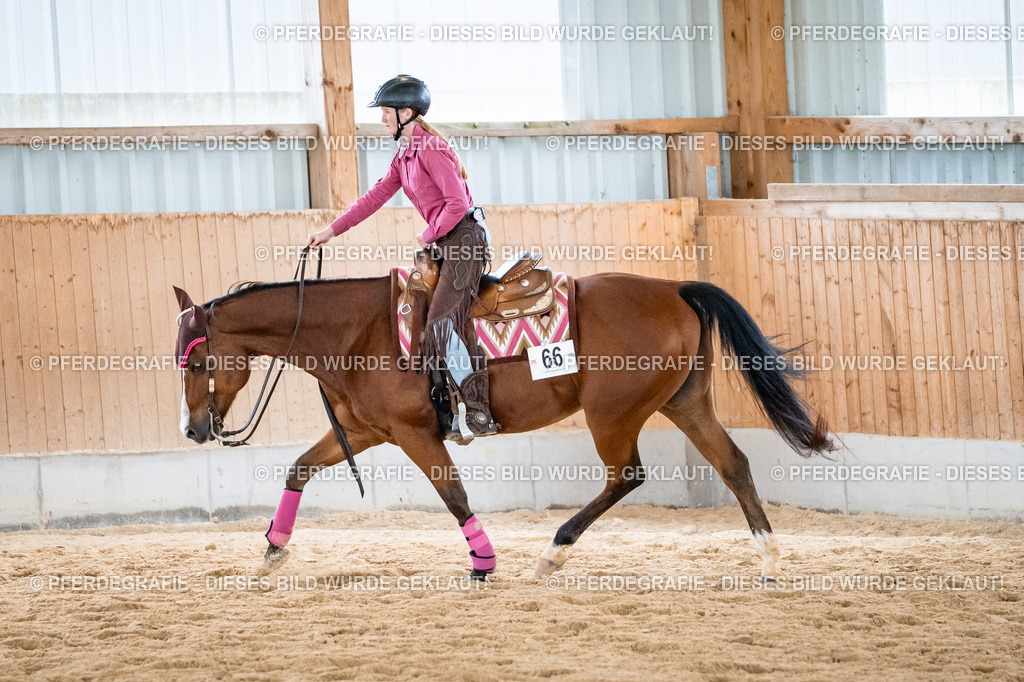 DSC01323 | Pferdegrafie