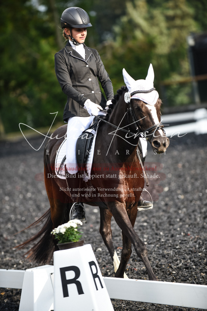 DSC_3406 | Pferde- und Turnierfotografie in Westsachsen. Pferdeportraits, Auftragszeichnungen und intuitive Kunst.