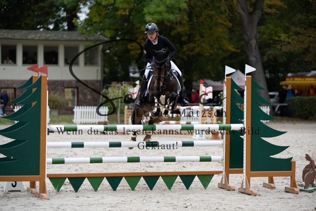 A7V09959 | Pferdefotograf