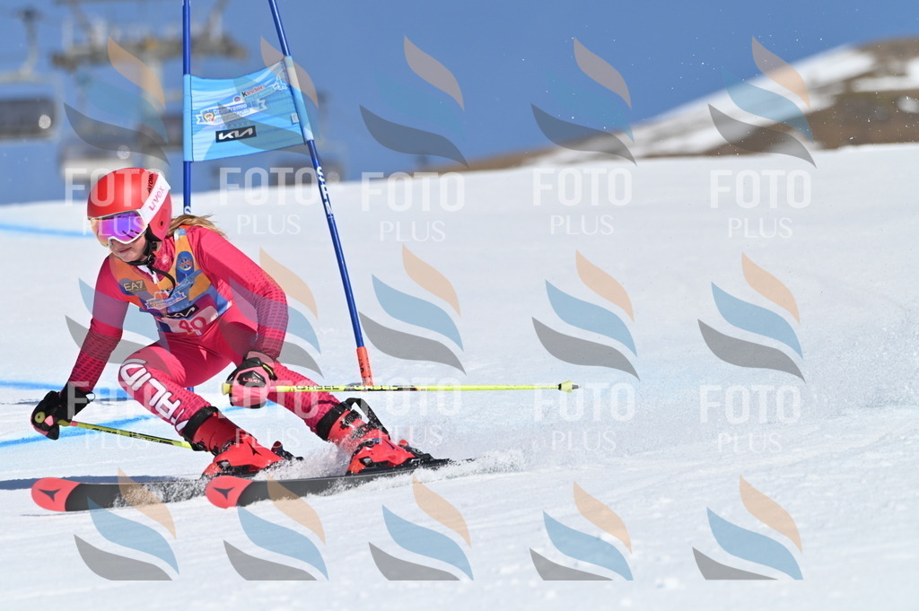 BGV_8358 | holidayphoto