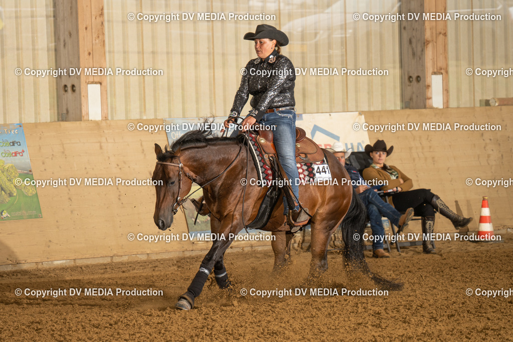 LAU00527 | dv-media-shop - Realisiert mit Pictrs.com