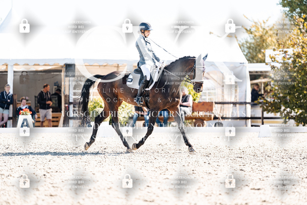 CK908792 | Turnierfotografie Pferdefotografie Trier Rheinland-Pfalz Pferdesport Reitsport Tierfotografie Sportfotografie Pferdevideo Pferdevideografie Equestrianvideography equestrianphotography  - Realisiert mit Pictrs.com