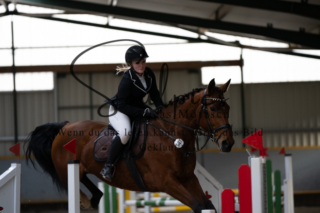 A7V04343 | Pferdefotograf