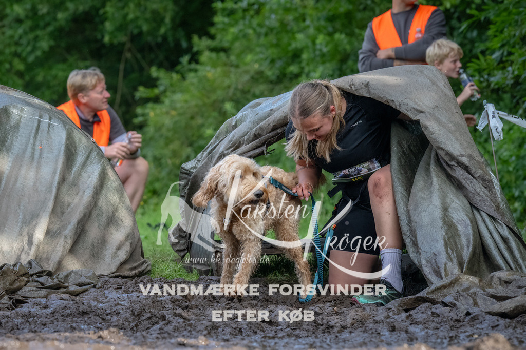 1702_ZZ90894-Bearbeitet | kk-dogfotos