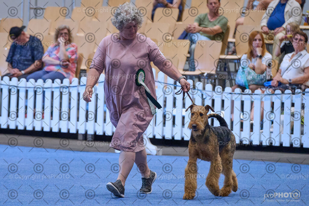 202406_ÖKV-IHA-Tulln24_DSC_3868 | proPHOTO - Realisiert mit Pictrs.com