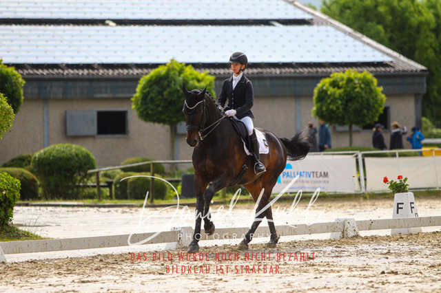 DKP40386 | Turniersportfotografie; Pferdefotografie; Dressurfotografie