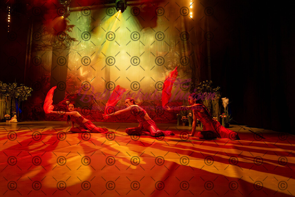 Ballettaufführung-203 | Bildershop Lem'n Entertainment - Realisiert mit Pictrs.com