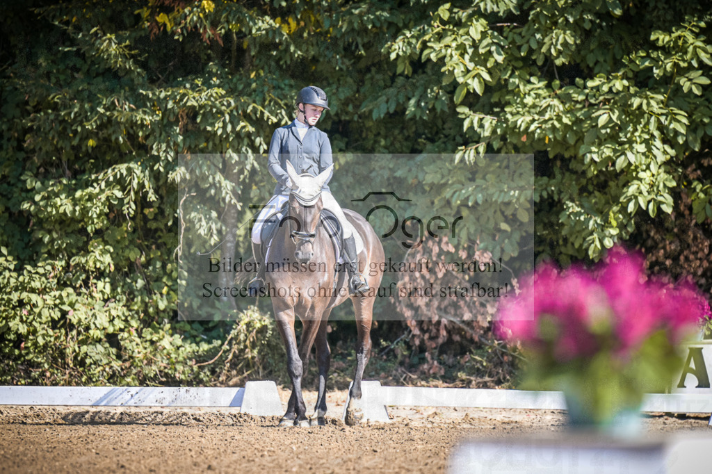 DOS_2396 | Entdecke hochwertige Reitturnierfotos von Foto Oger. Professionell, emotional und authentisch – jetzt Lieblingsmomente im Shop bestellen.Deutschlandweite Turnierfotografie. - Realisiert mit Pictrs.com