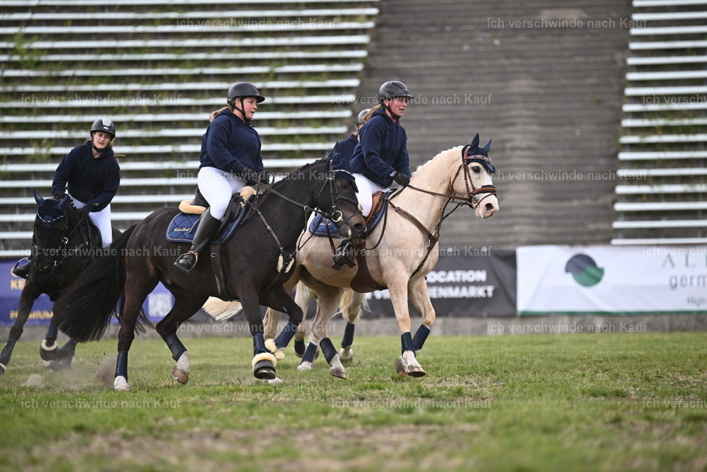 PI26_Show_Sara_Landvogt_226_1871.JPG | working equitationturnier fotograf videograf stoibphotography marixx film working equitation deutschland reitsport turnierfotografie eventfotografie equestrian events