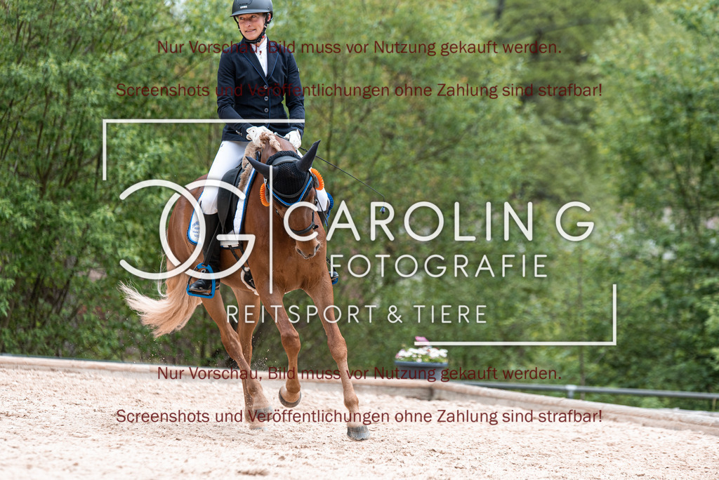 DSC_7119 | Turnierfotografin Carolin Gieschke,Reitsport Turnierfotografie Carolin G Fotografie | Turnierfotos aus Kirchheim/Teck, Esslingen, Stuttgart und dem Bodenseekreis