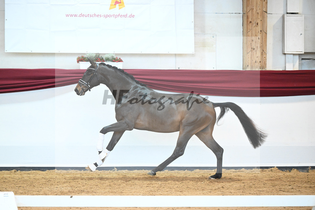Kat-Nr. 9 v. Bonds_Schmidt_66221691 | hf-fotografie - Realisiert mit Pictrs.com