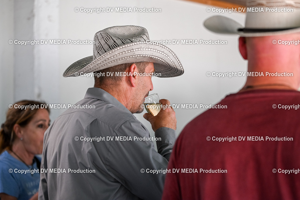 ZS2_3614 | dv-media-shop - Realisiert mit Pictrs.com