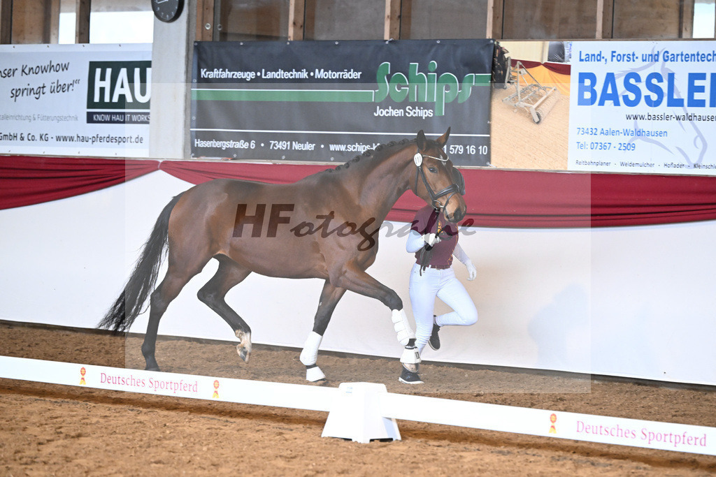 Kat-Nr. 10 Tessa tanzt v. Toto Jr_3 | hf-fotografie - Realizzato con Pictrs.com