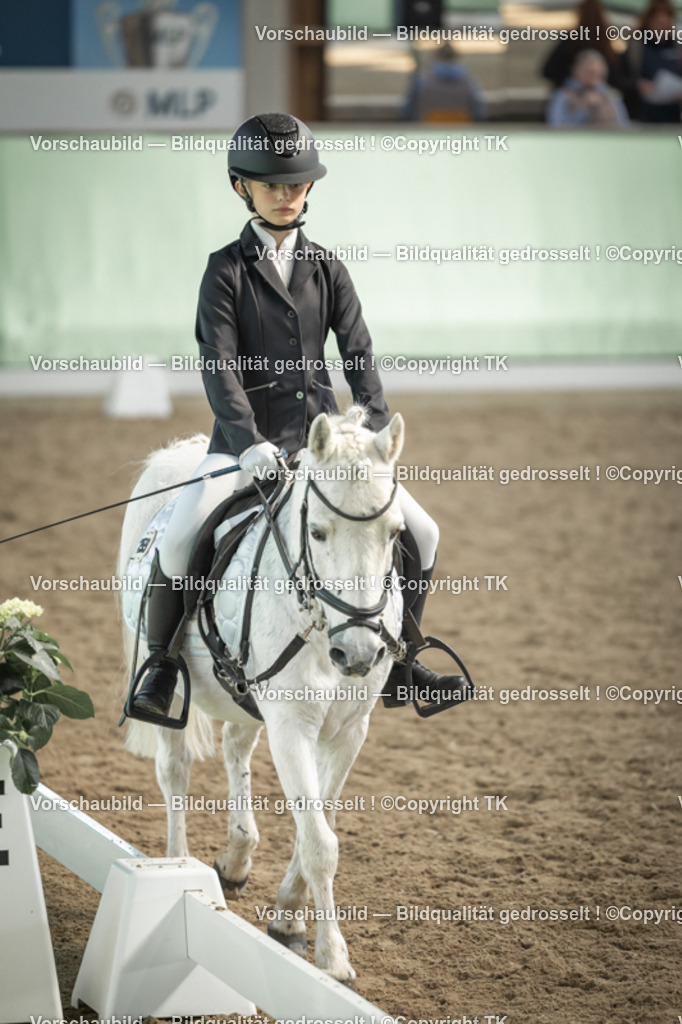 _D5A5644 | Emotionale Pferde- & People-Fotografie rund um Heidelberg, Leimen & Umgebung. Natürliche Fotos von Pferd, Mensch & Familie. Jetzt Termin sichern!