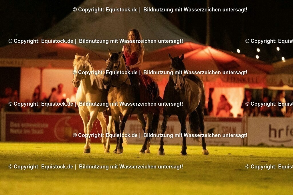 20230526_Pferdenacht_1514 | equistock