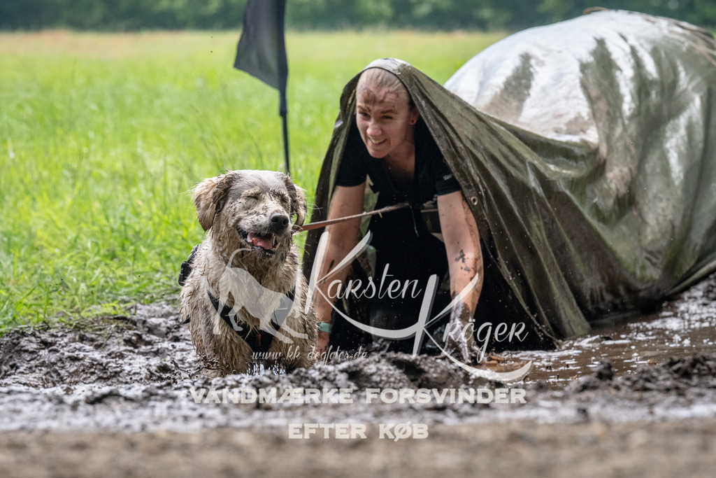 1115_ZZ92120 | kk-dogfotos