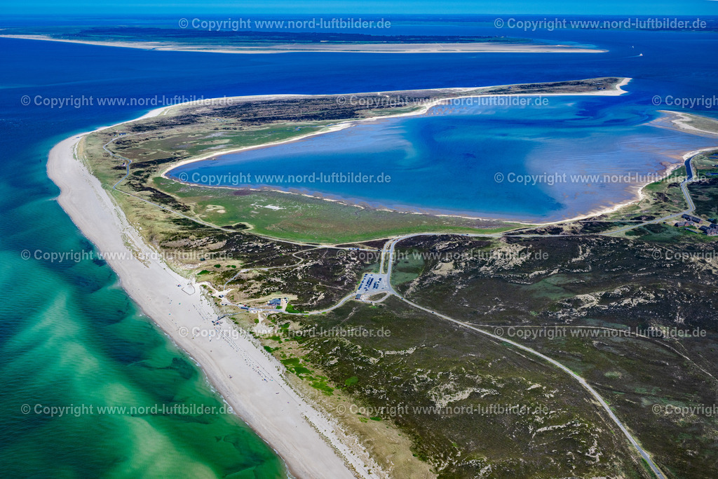 Sylt_List_Ellenbogen_ELS_5743210625 | LIST 13.06.2025 Uferbereiche der See- Insel Sylt im Ortsteil List in List auf der Insel Sylt im Bundesland Schleswig-Holstein, Deutschland. // Lake Island Sylt in the district List in List on the island of Sylt in the state Schleswig-Holstein, Germany. Foto: Martin Elsen