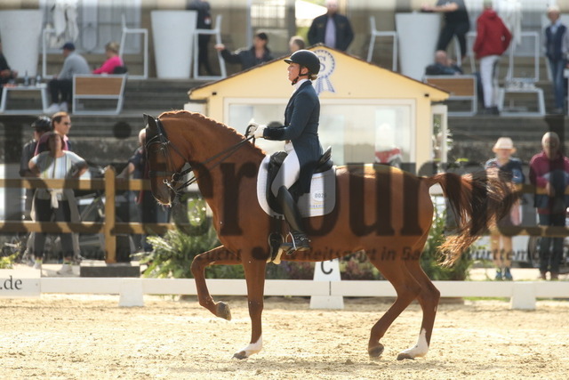 Ludwigsburg_2022_Prfg.Nr.03_FEI Grand Prix_Nicole Casper_Birkhof_s Don Röschen FBW (20) | Alle Fotos der Reiterjournal Fotografin Doris Matthaes im Reiterjournal Online-Fotoshop. - Realizado com Pictrs.com