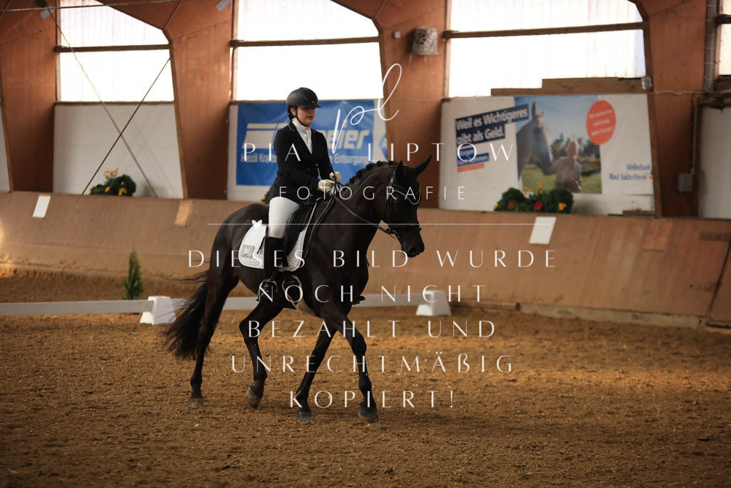 IMGT7370 | pl-fotografie