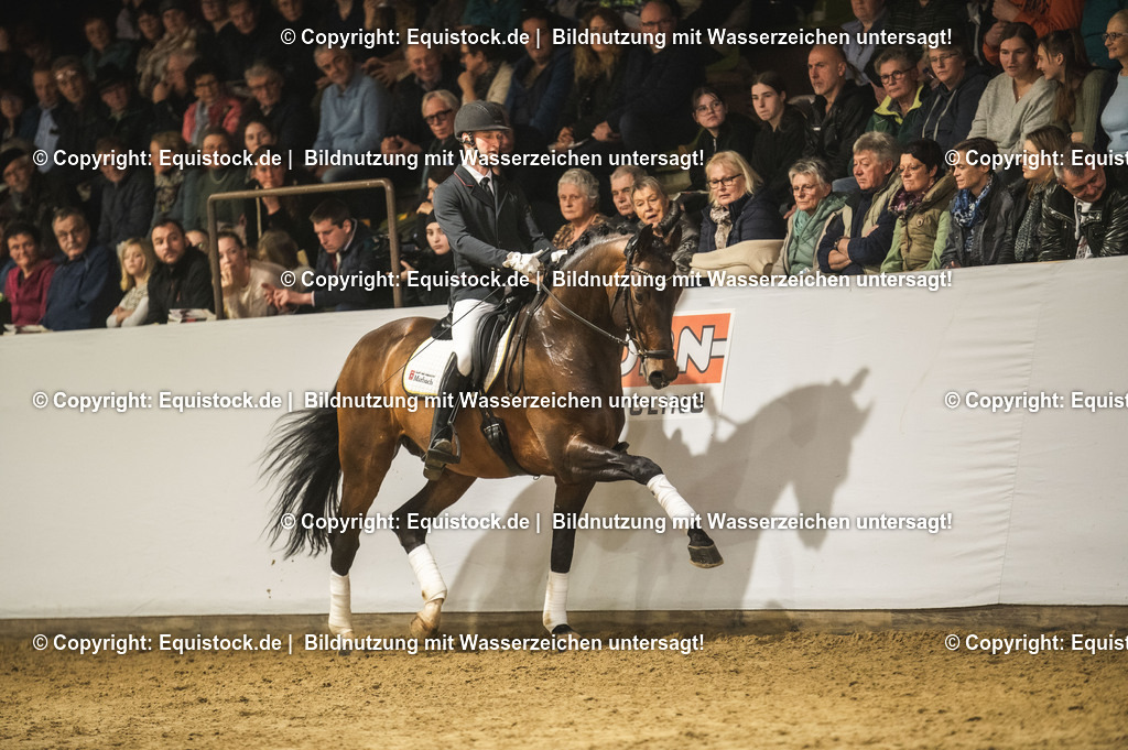 20240302_Hengstvorstellung_Marbach_TOMsPiC_1269 | equistock