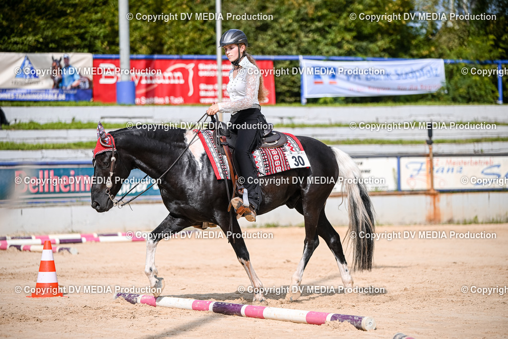 ZS2_3526 | dv-media-shop - Realisiert mit Pictrs.com