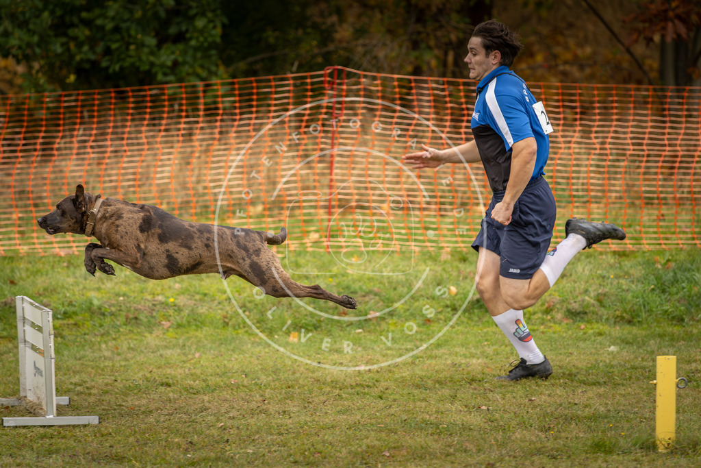 Pfotenfotografie_DV3A6031 | Hundefotografie, Tierfotograf, Pfotenfotografie, Fotoshooting Hund, Hunde Portrait, Hundesport, Hundeportraits, Heideshooting, Hunde, Sportfotograf, Hundefotograf, Turnierhundsport, THS,  - Realisiert mit Pictrs.com