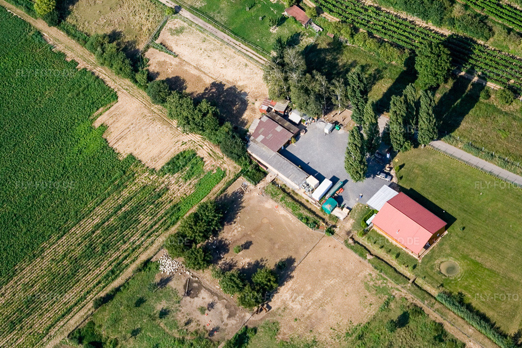 Luftbild: Michael Schwager in Herxheim bei Landau im Bundesland Rheinland-Pfalz in Deutschland. Foto: IMG_12577.jpg vom 17.08.2008 durch Werner Riehm/FLY-FOTO.de