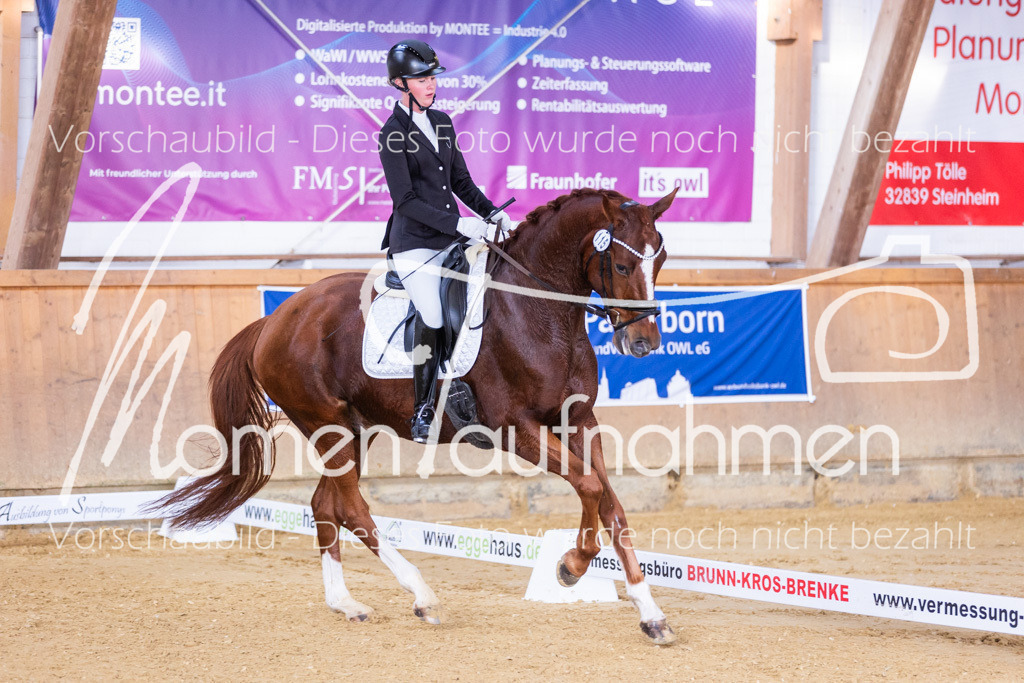 Sth-A-Dre-1St-226 | MomenTaufnahmen Pferdesportfotos