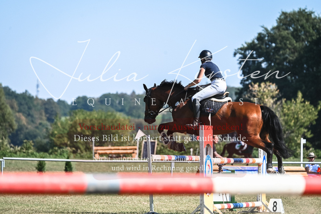 DSC_6441 | Pferde- und Turnierfotografie in Westsachsen. Pferdeportraits, Auftragszeichnungen und intuitive Kunst.
