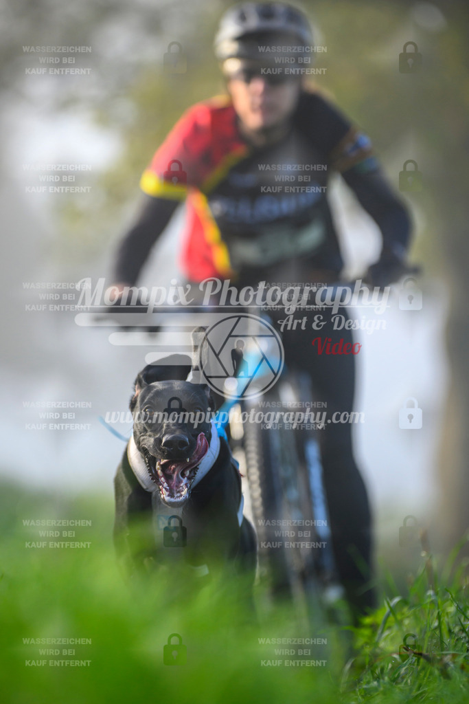 MompixPhotography_20TSB_E3_Bike-115 | PayLife