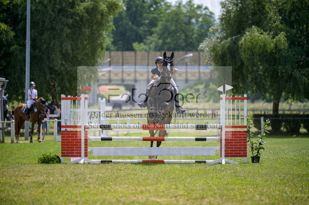 Reitturnier Voxtrup | Entdecke hochwertige Reitturnierfotos von Foto Oger. Professionell, emotional und authentisch – jetzt Lieblingsmomente im Shop bestellen.Deutschlandweite Turnierfotografie. - Realisiert mit Pictrs.com