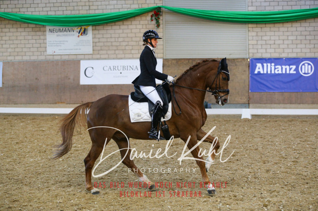 IMG_2948 | Turnierfotos kaufen im Webshop von Daniel Kuhl Photography – entdecke professionelle Reitsportfotos aus Turnieren & Events. Hochwertige Turnierbilder online bestellen & sichern. Jetzt Fotos von Reitsportturnieren kaufen!