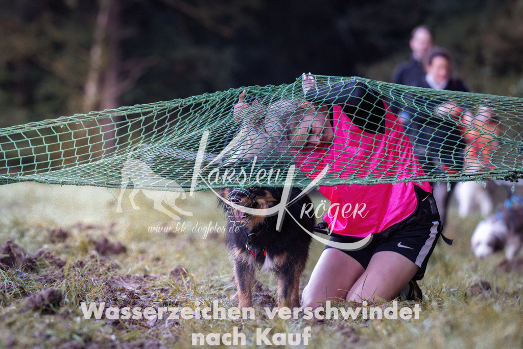 0848_ZZ90934 | kk-dogfotos