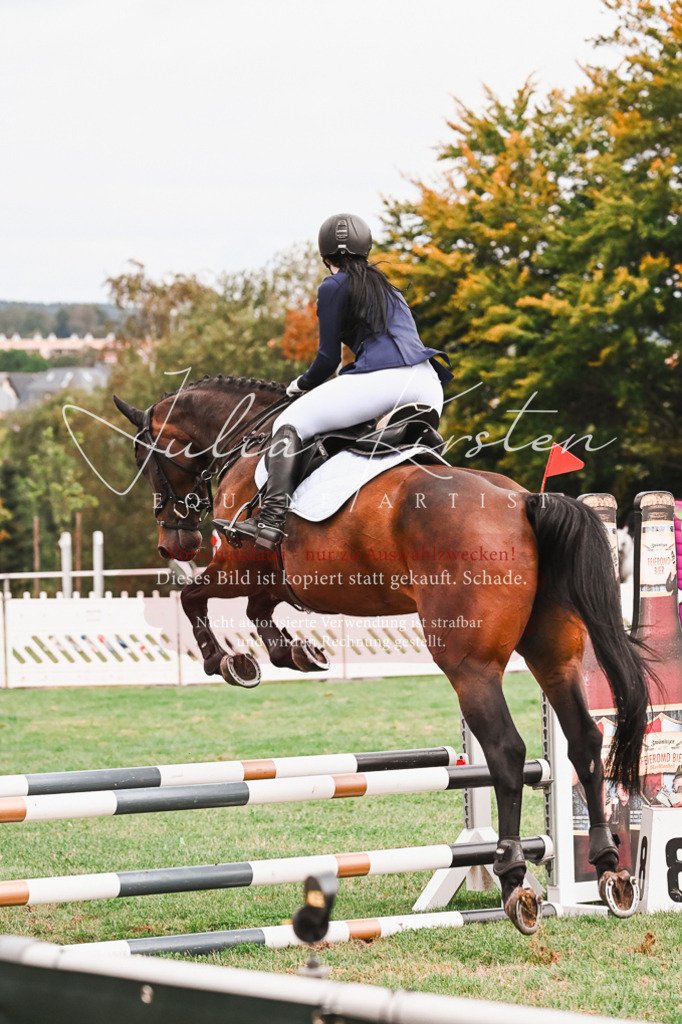 DSC_6002 | Pferde- und Turnierfotografie in Westsachsen. Pferdeportraits, Auftragszeichnungen und intuitive Kunst.