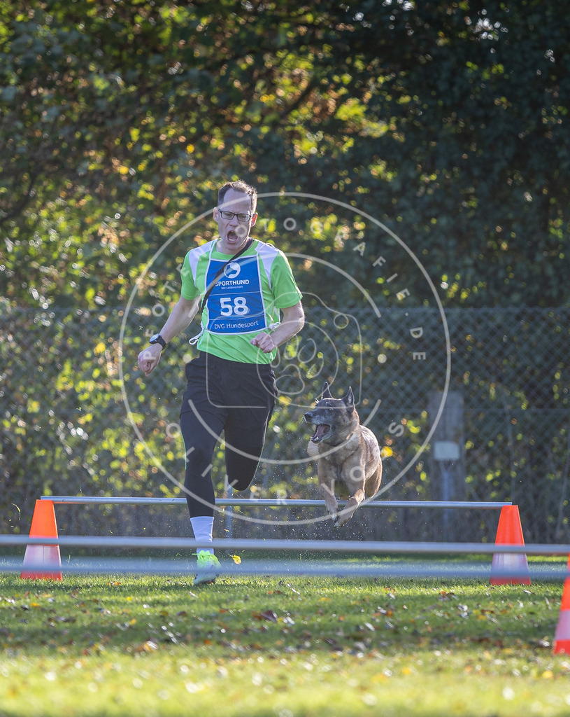 Pfotenfotografie.de_DV3A3130 | Hundefotografie, Tierfotograf, Pfotenfotografie, Fotoshooting Hund, Hunde Portrait, Hundesport, Hundeportraits, Heideshooting, Hunde, Sportfotograf, Hundefotograf, Turnierhundsport, THS, canicross - Realisiert mit Pictrs.com