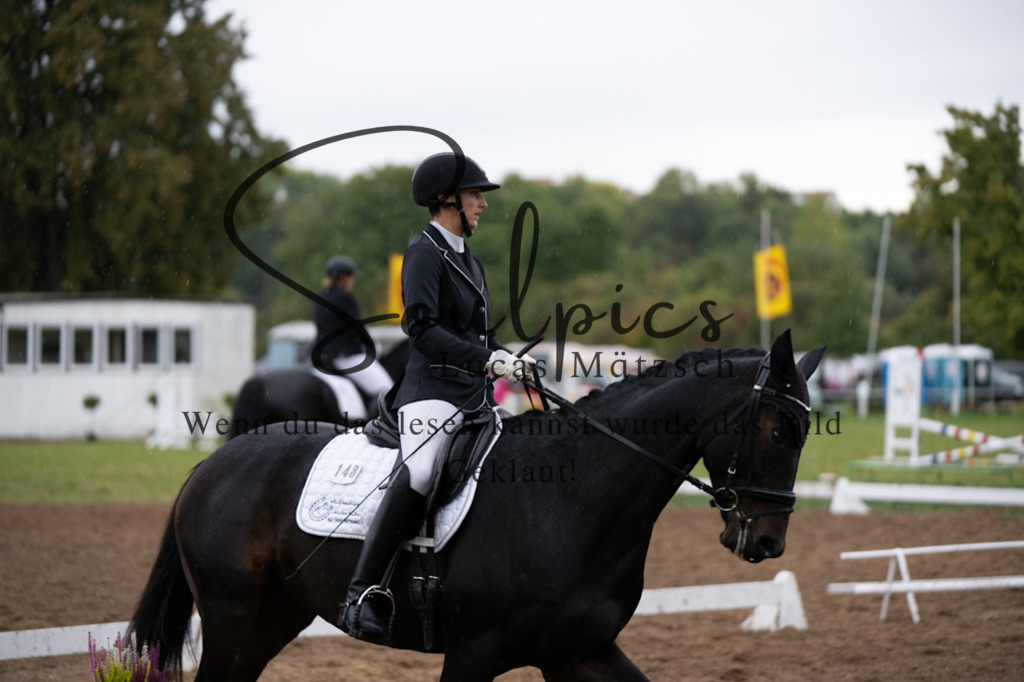 A7V06004 | Pferdefotograf