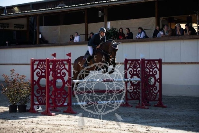 2B4A0648 | pixelfaenger - Realisiert mit Pictrs.com