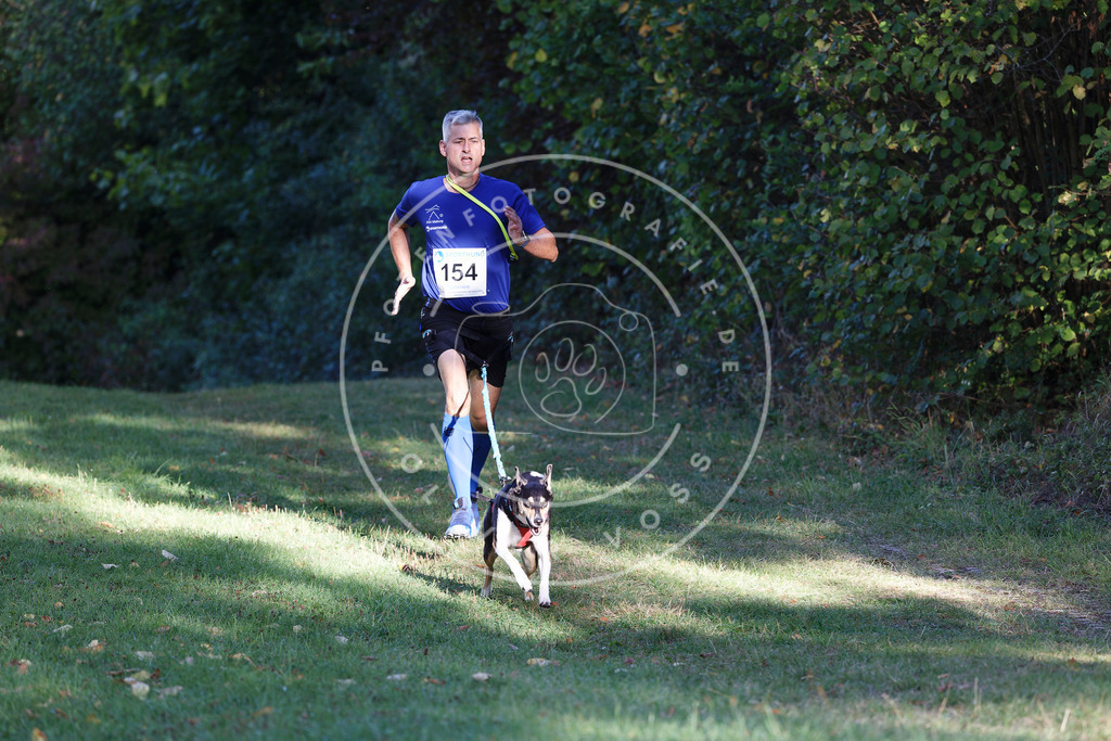 0L8A5016 | Hundefotografie, Tierfotograf, Pfotenfotografie, Fotoshooting Hund, Hunde Portrait, Hundesport, Hundeportraits, Heideshooting, Hunde, Sportfotograf, Hundefotograf, Turnierhundsport, THS,  - Realisiert mit Pictrs.com