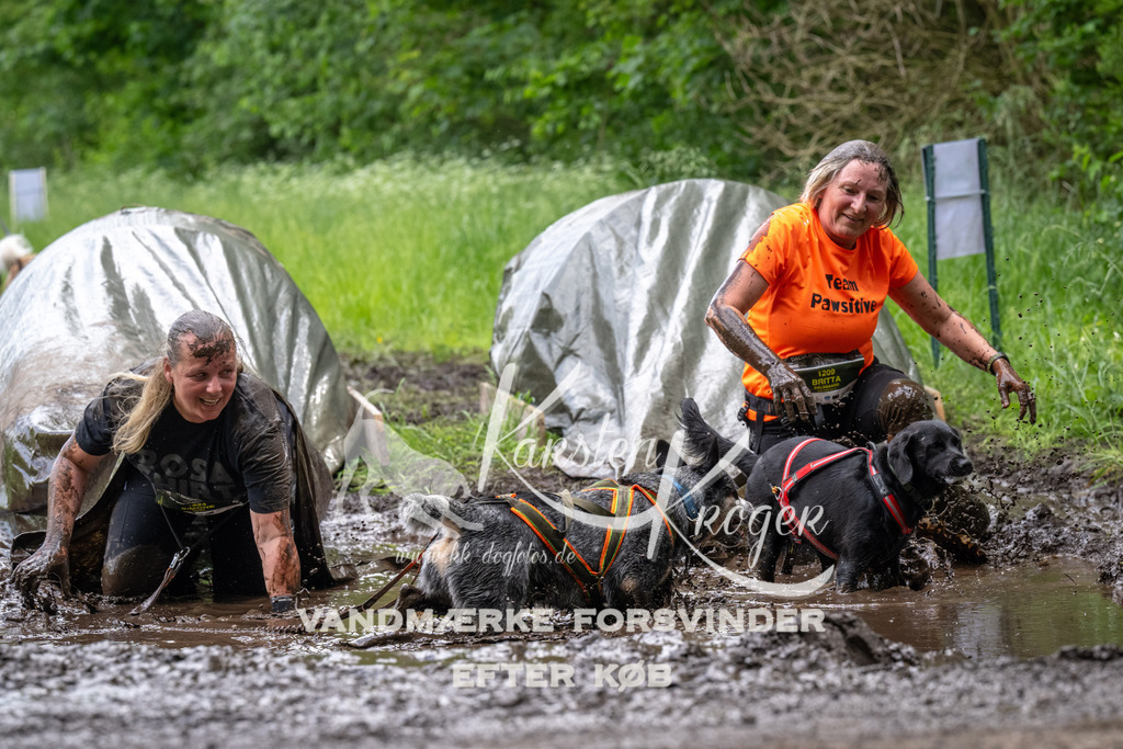 1253_ZZ94077 | kk-dogfotos