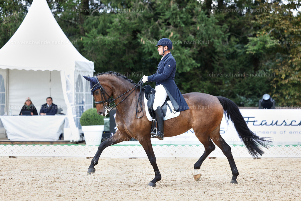 12-226-DRESSUR  S___  -StoibPH-5272 | working equitationturnier fotograf videograf stoibphotography marixx film working equitation deutschland reitsport turnierfotografie eventfotografie equestrian events