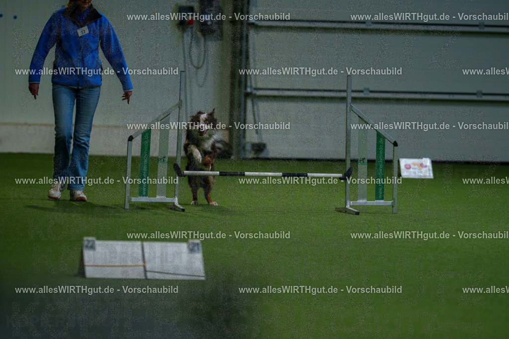 7R505111 | Professionelle Tierfotografie in Mönchengladbach von Daniel Wirth (allesWIRTHgut). Liebevolle & natürliche Bilder von Hunden & Katzen für unvergessliche Erinnerungen.