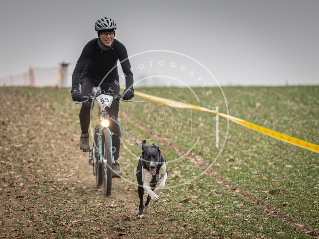 Pfotenfotografie_DV3A2591 | Hundefotografie, Tierfotograf, Pfotenfotografie, Fotoshooting Hund, Hunde Portrait, Hundesport, Hundeportraits, Heideshooting, Hunde, Sportfotograf, Hundefotograf, Turnierhundsport, THS,  - Realisiert mit Pictrs.com