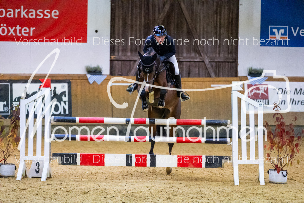 Sth-L-Springen-061 | MomenTaufnahmen Pferdesportfotos