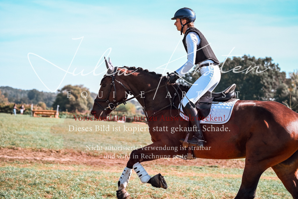 DSC_1084 | Pferde- und Turnierfotografie in Westsachsen. Pferdeportraits, Auftragszeichnungen und intuitive Kunst.