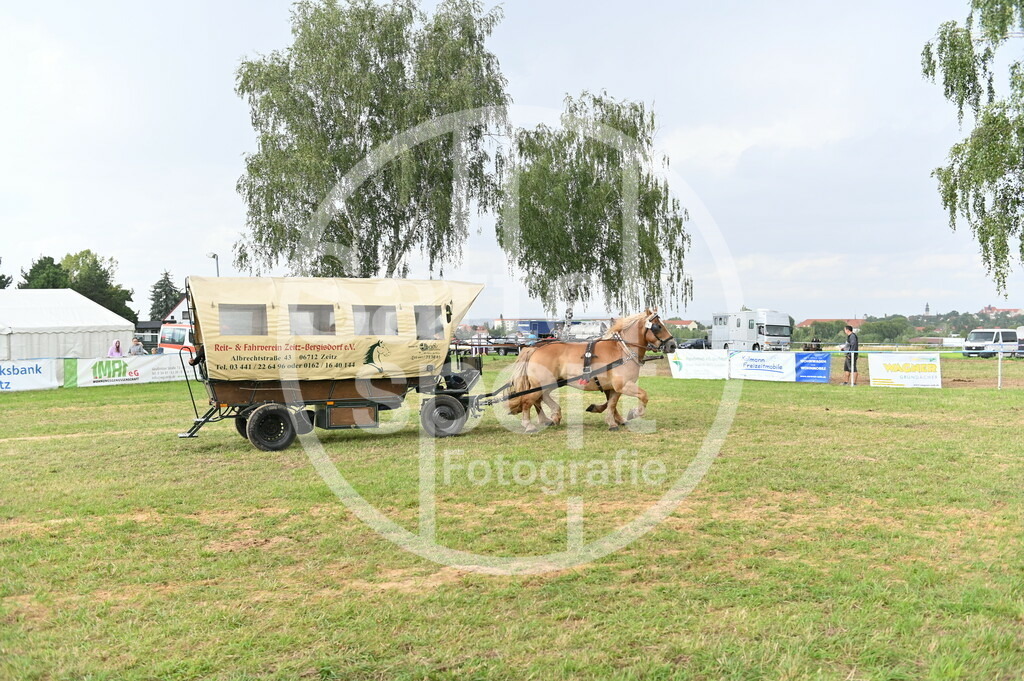 DSC_4555 | sattelsport - Realisiert mit Pictrs.com