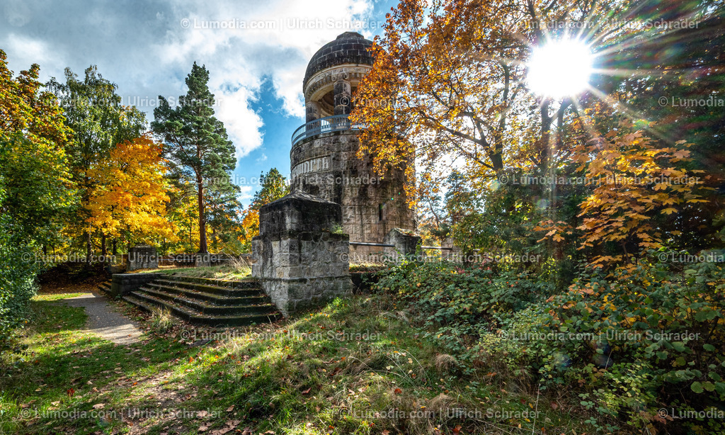 10049-13717 - Herbststimmung in den Spiegelsbergen | Stockfoto und Bilderpool mit Bildmaterial aus Deutschland, dem Harz, Halberstadt, Quedlinburg, Wernigerode und weltweit. Qualitativ hochwertige und professionelle Fotos anschauen und kaufen. - Realisiert mit Pictrs.com