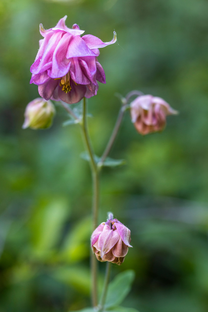 _H3A9969 | Wir machen aus Ihren Bildern Erinnerungen für die Ewigkeit | Hochwertige Fotografien für Ihr zu Hause. - Realisiert mit Pictrs.com