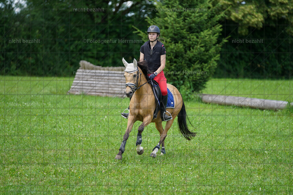 20240622-FAH07403 | Turnierfotografen Bayern, Reitsportbilder aus dem Geländekurs mit Felix Etzel auf dem Gut Waitzacker 2024