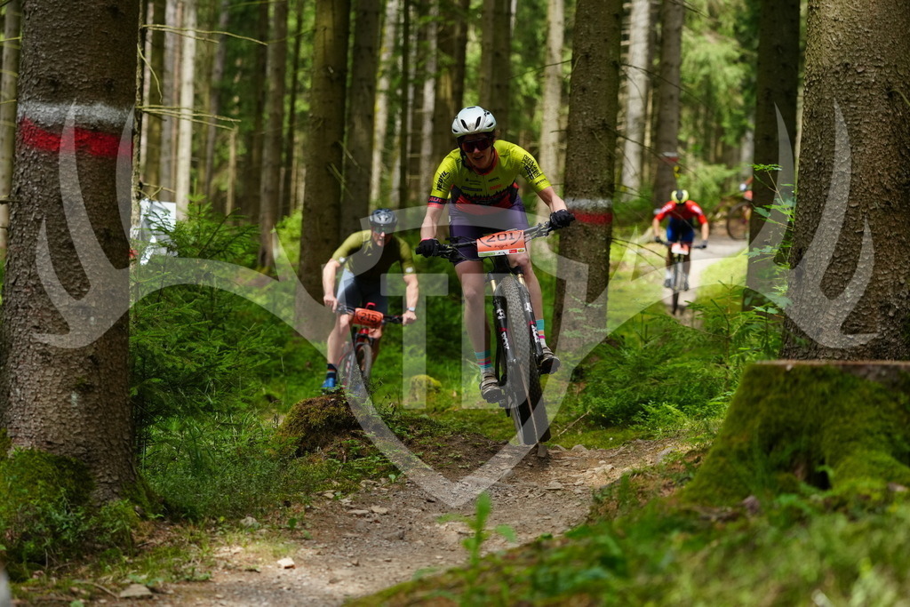 FC100347 | Fotogalerie der Treibjagd im Dunkelwald - Dein MTB Etappenrennen im Erzgebirge - Realisiert mit Pictrs.com
