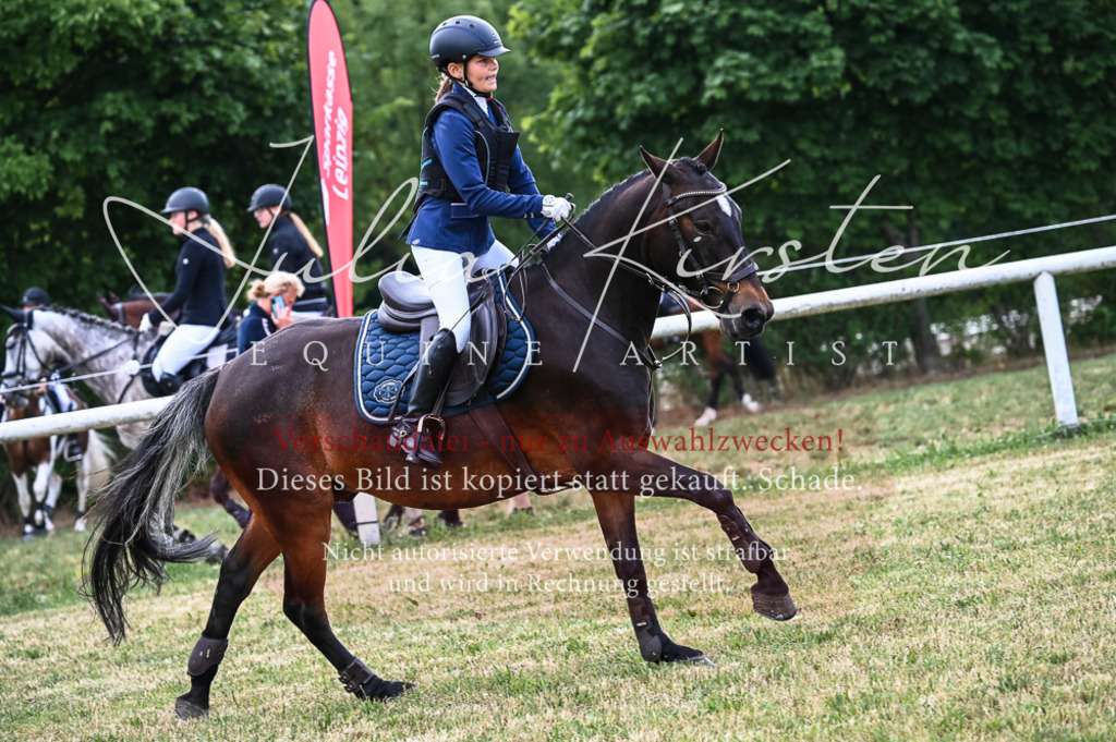 DSC_8222 | Pferde- und Turnierfotografie in Westsachsen. Pferdeportraits, Auftragszeichnungen und intuitive Kunst.